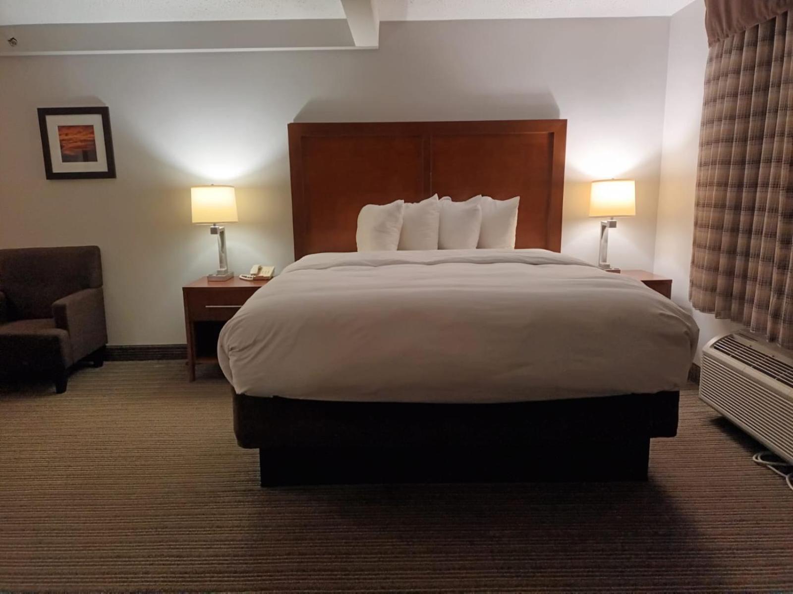 Country Inn & Suites By Radisson, Battle Creek, Mi Экстерьер фото