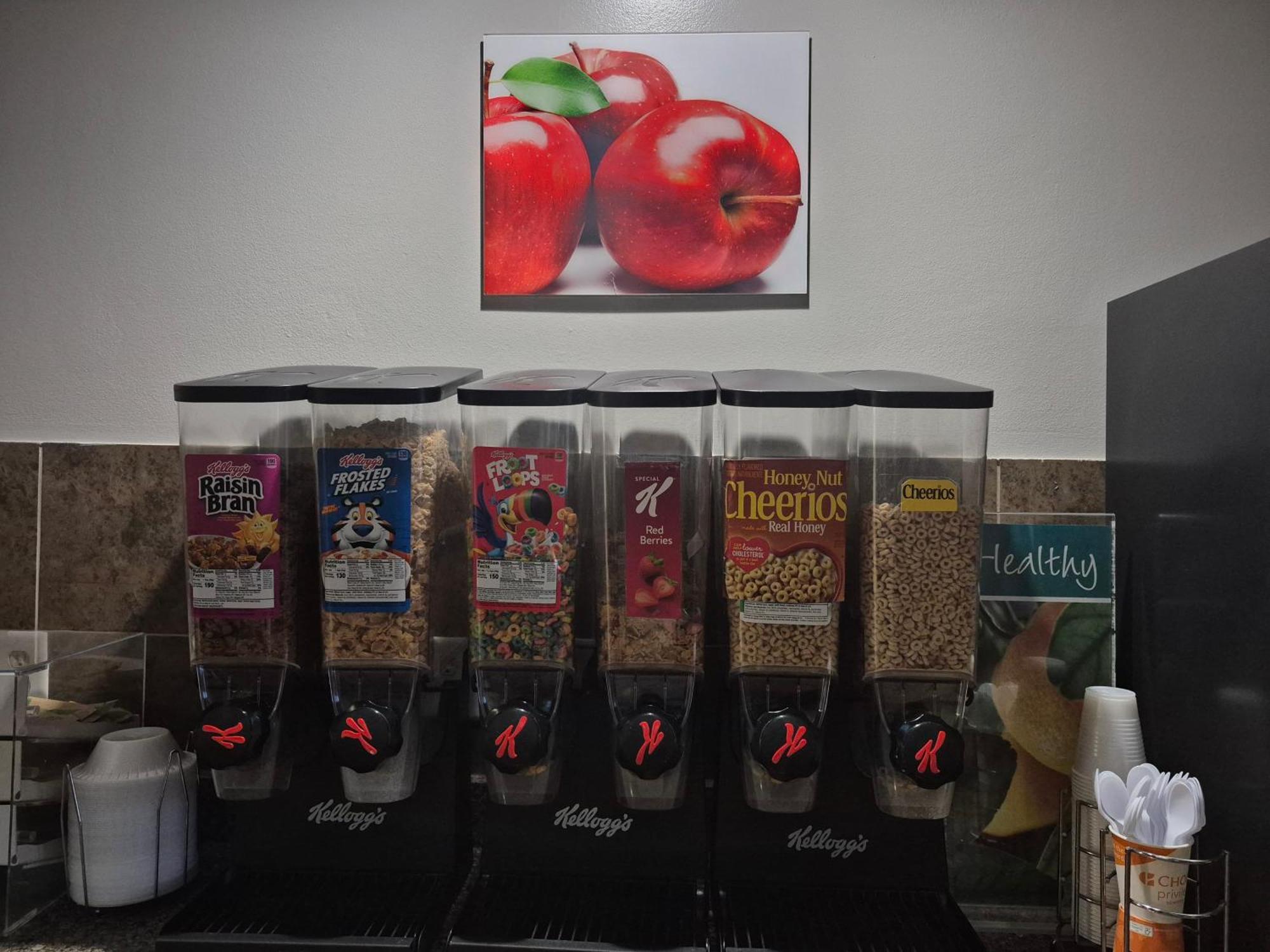 Country Inn & Suites By Radisson, Battle Creek, Mi Экстерьер фото